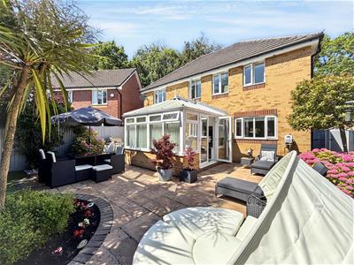 Picture 15
